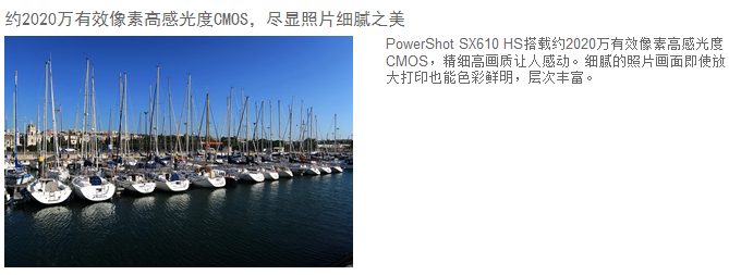 佳能（Canon）PowerShot SX610 HS 数码相机（2020万像素 、18倍光学变焦）白色单机版