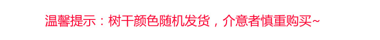 
                                        【京东超市】青苇 创意鸟儿水果叉 西餐用小叉子（6只装）                