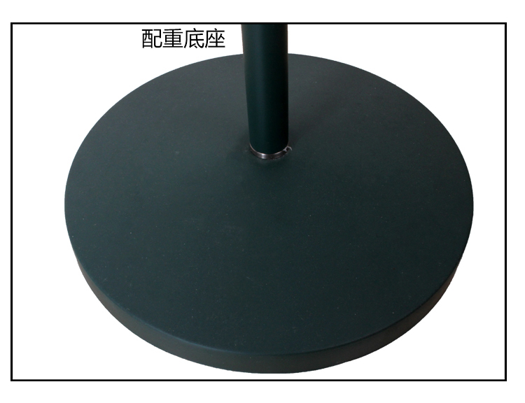 
                                        道远亮眼睛 LED落地灯 5W暖光 客厅卧室书房现代简约工作阅读落地台灯ML2027H墨绿色                