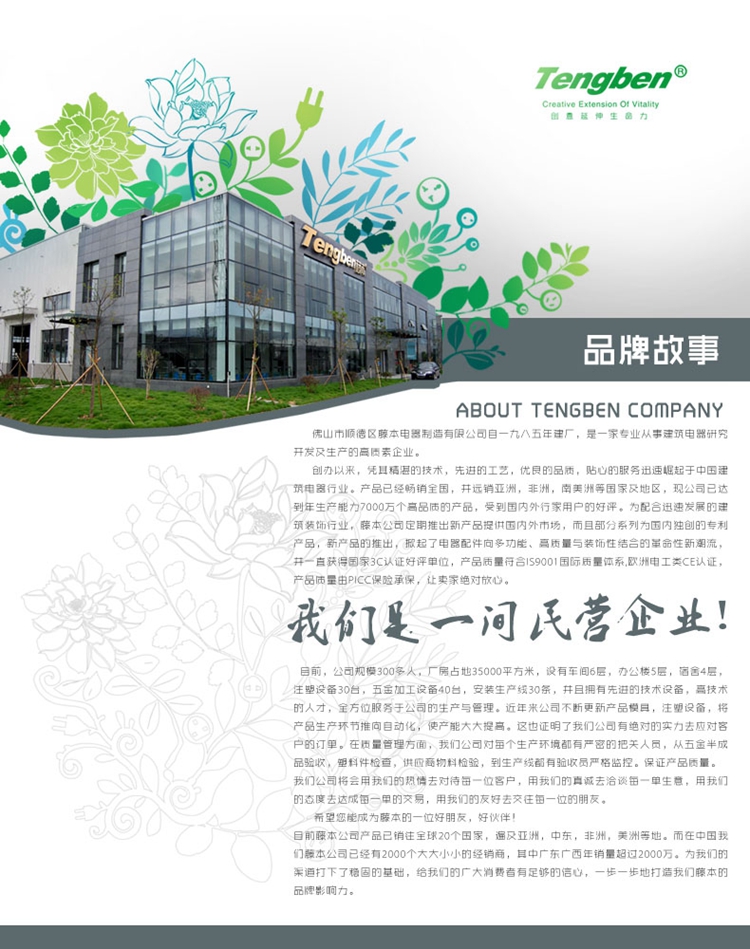 
                                        藤本86型墙壁开关面板插座10A带荧光一位大板单联开关/一开单控开关F20翘板翻盖系列                