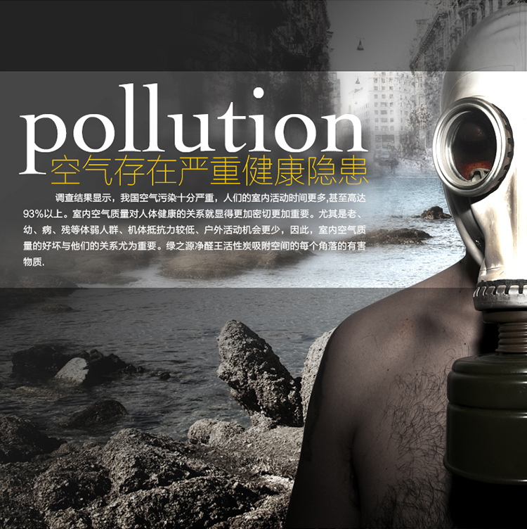 
                                        
                                                            绿之源 6000g净醛王活性炭 家用装修居室除甲醛除味剂车用吸去除甲醛清除剂竹炭包防潮碳包                