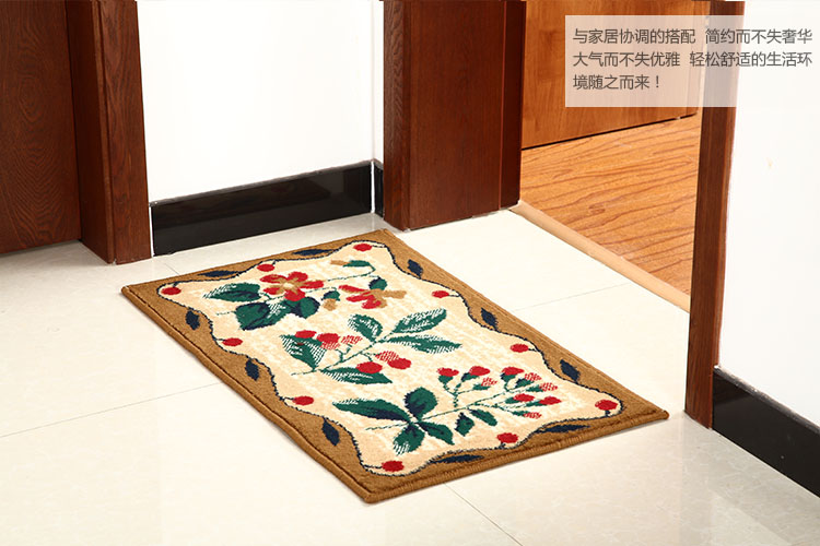 
                                        皇佳 WK门垫03地垫垫子50cm*80cm                