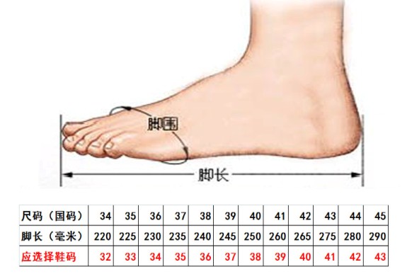 冰刀鞋码数对照表图片