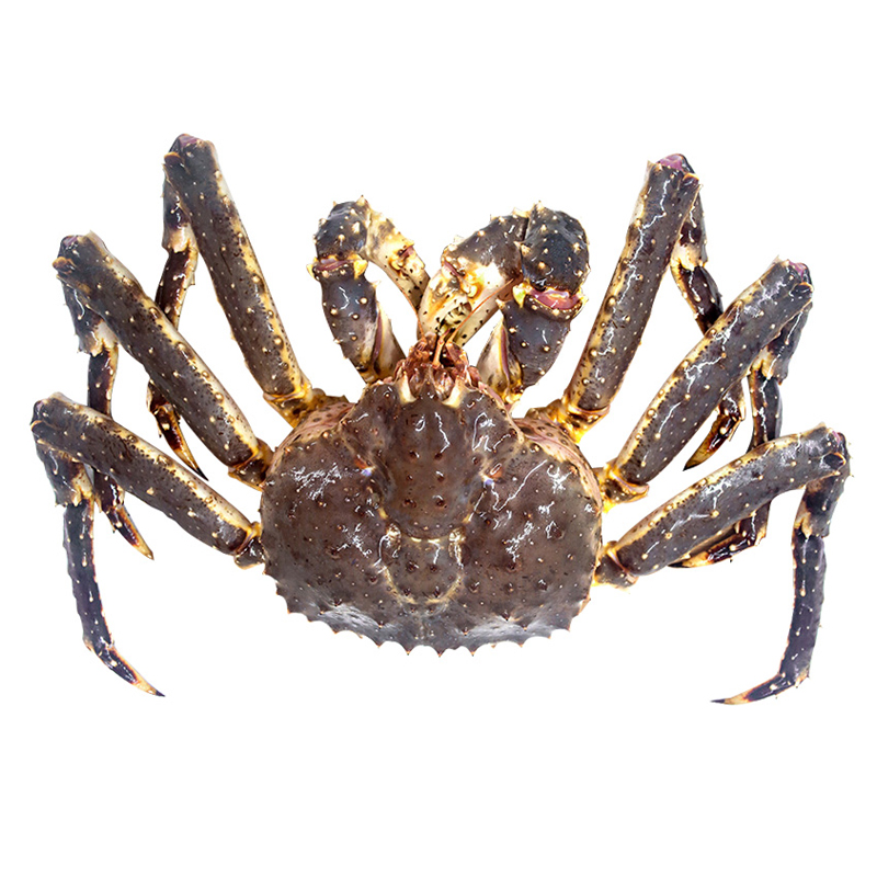 宁波馆鲜嫩醉螃元蟹