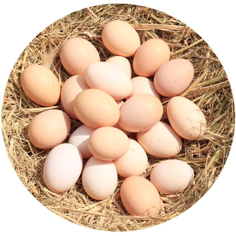 "土鸡蛋"搜索结果