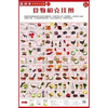 

最简单实用养生挂图之6：食物相克挂图