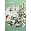 

工笔扇面草虫画法