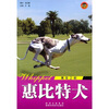 

世界名犬：惠比特犬（离弦之箭）