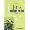 

番木瓜种植管理与开发应用