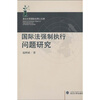 

国际法强制执行问题研究