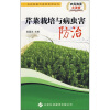 

芹菜栽培与病虫害防治