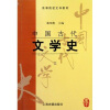 

中国古代文学史3