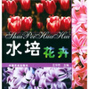 

水培花卉