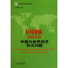

回顾2010：中国与世界经济热点问题