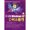 

中文版Windows XP实例与操作附光盘1张