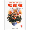 

杜鹃花