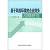 

基于风险环境的企业财务战略研究