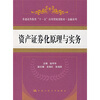 

普通高等教育“十一五”应用型规划教材·金融系列：资产证券化原理与实务