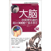 

口袋里的百科·大脑：你需要知道的超过3000个基本事实（全球青少年都在读的科普书）