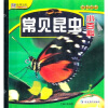 

知书达礼·学转地球：常见昆虫小百科