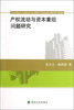 

产权流动与资本重组问题研究
