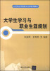 

大学生学习与职业生涯规划/21世纪高等院校公共课系列教材