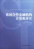 

农村合作金融机构计算机审计
