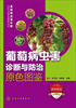 

葡萄病虫害诊断与防治原色图鉴