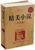

精美小说大全集超值白金版