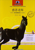 

新黑马阅读：感恩老师（名师解读版）
