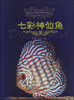 

观赏鱼文化·鉴赏·饲养珍藏丛书：七彩神仙鱼