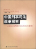 

中国刑事司法改革探索以联合国刑事司法准则为参照