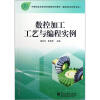 

中等职业学校项目课程系列教材·数控技术应用专业：数控加工工艺与编程实例