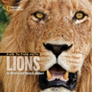 

Face to Face with Lions