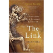 

The Link Uncovering Our Earliest Ancestor