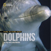 

Face to Face with Dolphins