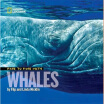 

Face to Face with Whales