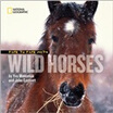 

Face to Face with Wild Horses