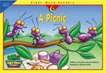 

A Picnic