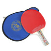 

DOUBLE FISH Pisces double-sided anti-adhesive table tennis racket shooting suit 3D-C five-layer floor double-sided anti-rubber racket bag attack type