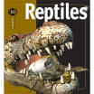 

Reptiles