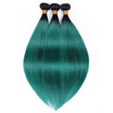 Hcdiva T1Bgreen Ombre Brazilian Hair Bundles 3Pcslot Straight No Tangle Free Shipping 10 To 26 Inch Colored 2 Tones hcdiva kopen in de aanbieding Hcdiva T1Bgreen Ombre Brazilian Hair Bundles 3Pcslot Straight No Tangle Free Shipping 10 To 26 Inch Colored 2 Tones hcdiva kopen in de aanbieding