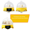 Gbtiger Hhd Automatic Digital 7 Eggs Incubator For Duck Bird Chicken Egg gbtiger kopen in de aanbieding Gbtiger Hhd Automatic Digital 7 Eggs Incubator For Duck Bird Chicken Egg gbtiger kopen in de aanbieding