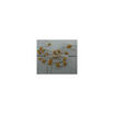 50Pcs Monolithic Capacitors 220P 220Pf 221 huismerk kopen in de aanbieding