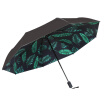 Joy Collection Cmon Banana Leaf A1726 Sun Umbrella Small Black Folding Female Uv Protection joy collection kopen in de aanbieding Joy Collection Cmon Banana Leaf A1726 Sun Umbrella Small Black Folding Female Uv Protection joy collection kopen in de aanbieding