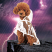 Joy Collection Warrior Hoopet Teddy Bear Puppy Transparent Four Legged Raincoat Small Dog Waterproof Clothing Clothes Beautiful Xl Bust 46 50Cm joy collection kopen in de aanbieding Joy Collection Warrior Hoopet Teddy Bear Puppy Transparent Four Legged Raincoat Small Dog Waterproof Clothing Clothes Beautiful Xl Bust 46 50Cm joy collection kopen in de aanbieding