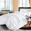 Hongrun elegant baby was core-spinning cotton sanding 70 white duck feather quilt core quilt quilt was winter&winter was 220 240cm