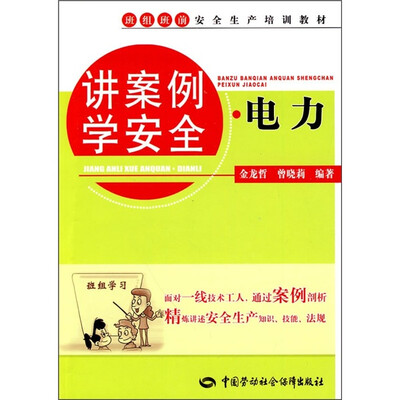 

讲案例学安全：电力