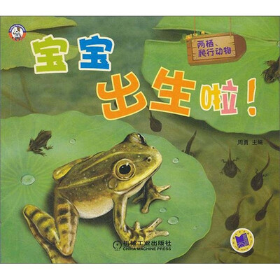 

宝宝出生啦！两栖、爬行动物