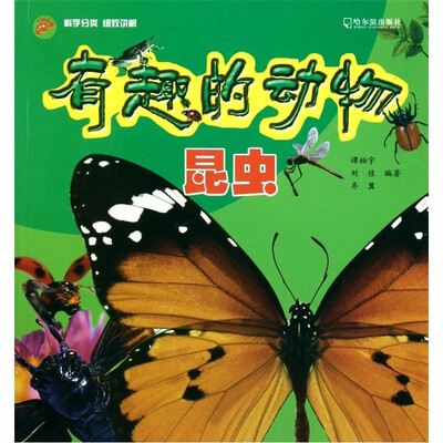 

有趣的动物：昆虫